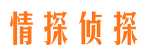 海口市侦探调查公司